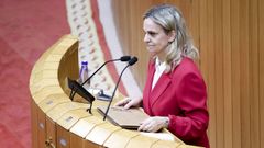 La valedora de pobo,Mara Dolores Fernndez Galio, en el Parlamento.