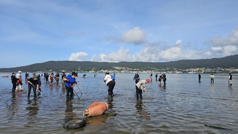 Mariscadores sembrando este jueves almeja en la zona de O Cuncheiro, en Noia