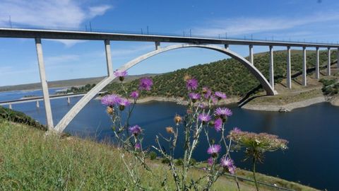 Viaducto sobre el Tajo en la lnea de alta velocidad a Extremadura, que formara parte de la ruta ferroviaria de la Plata