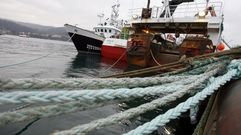 Parte del sector del arrastre quiere que las cuotas se vuelvan a repartir de forma lineal.