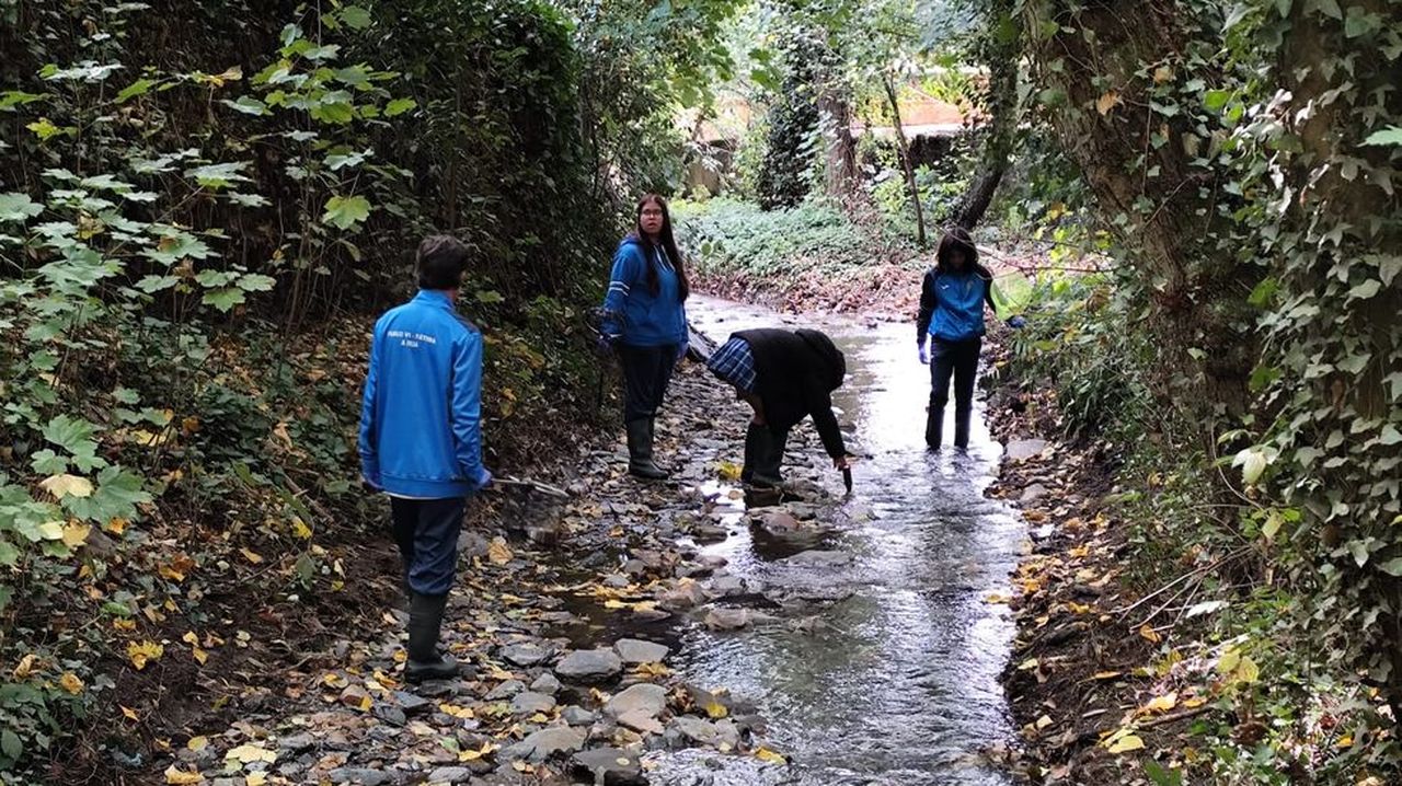 Alumnos del Pablo VI estudian la secuelas del incendio forestal del 2025 en la calidad del agua de A Rúa