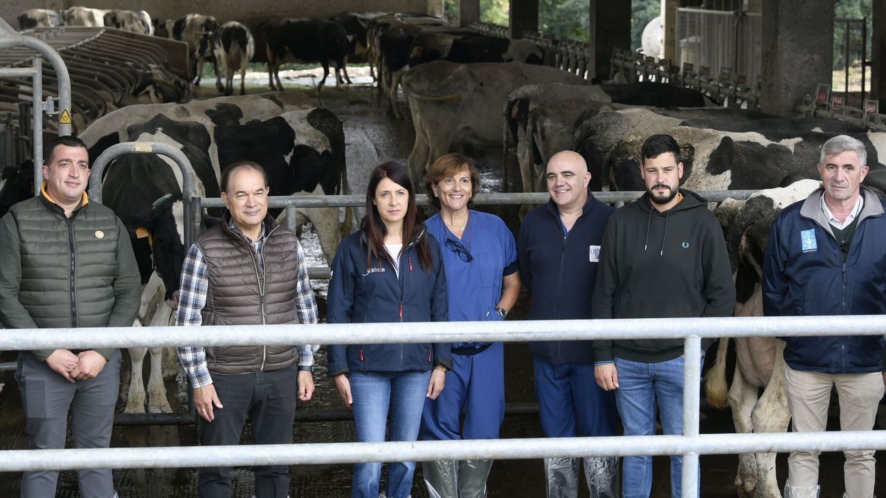 Una ganadería de Lalín analiza las emisiones de metano para mejorar su sustentabilidad