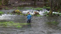 En Mazaricos, el n�mero de pescadores que se anima a ir al r�o descendi� en el �ltimo a�o 