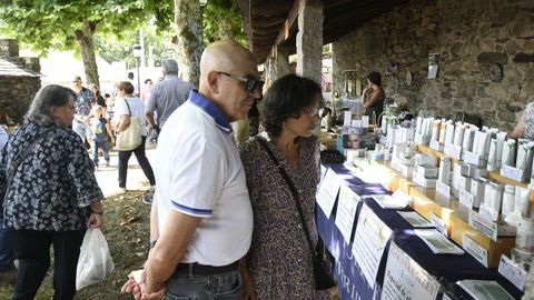 Feira de Artesana e Gastronoma de Castroverde, ambiente