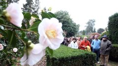 Ruta de las camelias en el pazo de Rubi�ns