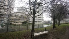 Parte de un banco en un �rbol. Varios listones de madera de uno de los bancos acab� en lo alto de la copa de un �rbol por acci�n del vandalismo