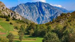 Picos de Europa