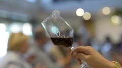 Los participantes tuvieron que acertar en cata ciega vino, a�ada y bodega