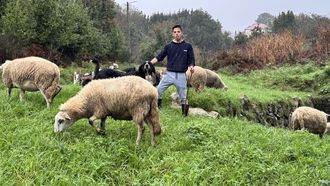 El muradano Álvaro García Abeijón posee más de una veintena de cabras y ovejas.
