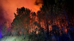 En la madrugada de ayer se vivió un susto en la parroquia de Nebra, en Porto do Son, al registrarse un incendio que finalmente afectó a unos 400 metros cuadrados. Intervinieron en el operativo el GES de Noia y dos brigadas forestales.