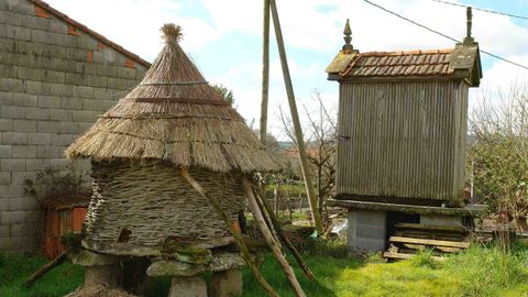 En primer plano, un h�rreo de varas