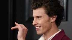 Shawn Mendes