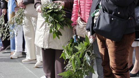 Durante la emblem�tica procesi�n de la Borriquilla en A Coru�a se realiz� la bendici�n de los ramos