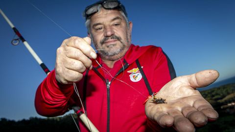 Jos Luis Carballo muestra una velutina que usa como cebo.