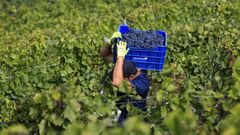 Los participantes en el debate subrayaron los costes econ�micos del trabajo agrario en una orograf�a tan complicada como la de la Ribeira Sacra