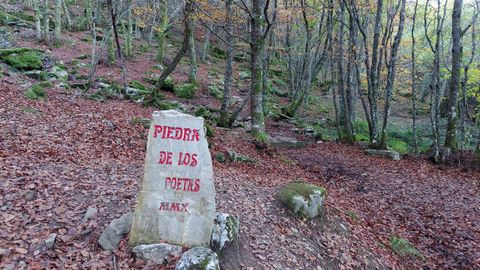 Hayedo de Busmayor. Uno de los lugares mgicos es la zona de la Piedra de los Poetas