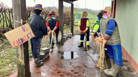 Un grupo de compadres elaborando cuerdas en A Pobra do Broll�n