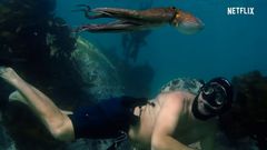 Trailer de �Lo que el pulpo me ense��