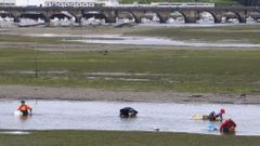 Mariscadoras a pie en la desembocadura de la r�a de Ares 