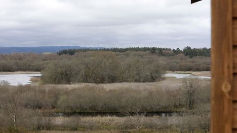 Zonas de observacin de aves en la laguna de Cospeito