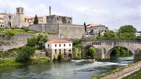 Zamora