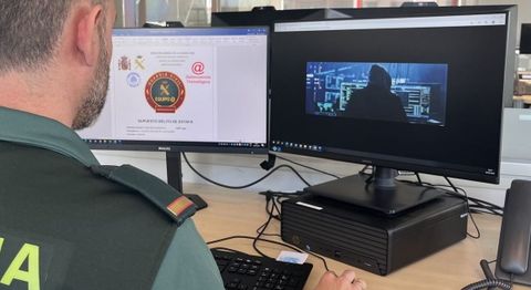 Un guardia civil examina una p&aacute;gina web para investigar un posible delito de estafa.