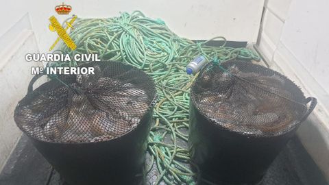 Imagen de los capazos con pulpo intervenidos al armador al que ahora condenaron a abonar 91.155 euros de multa.