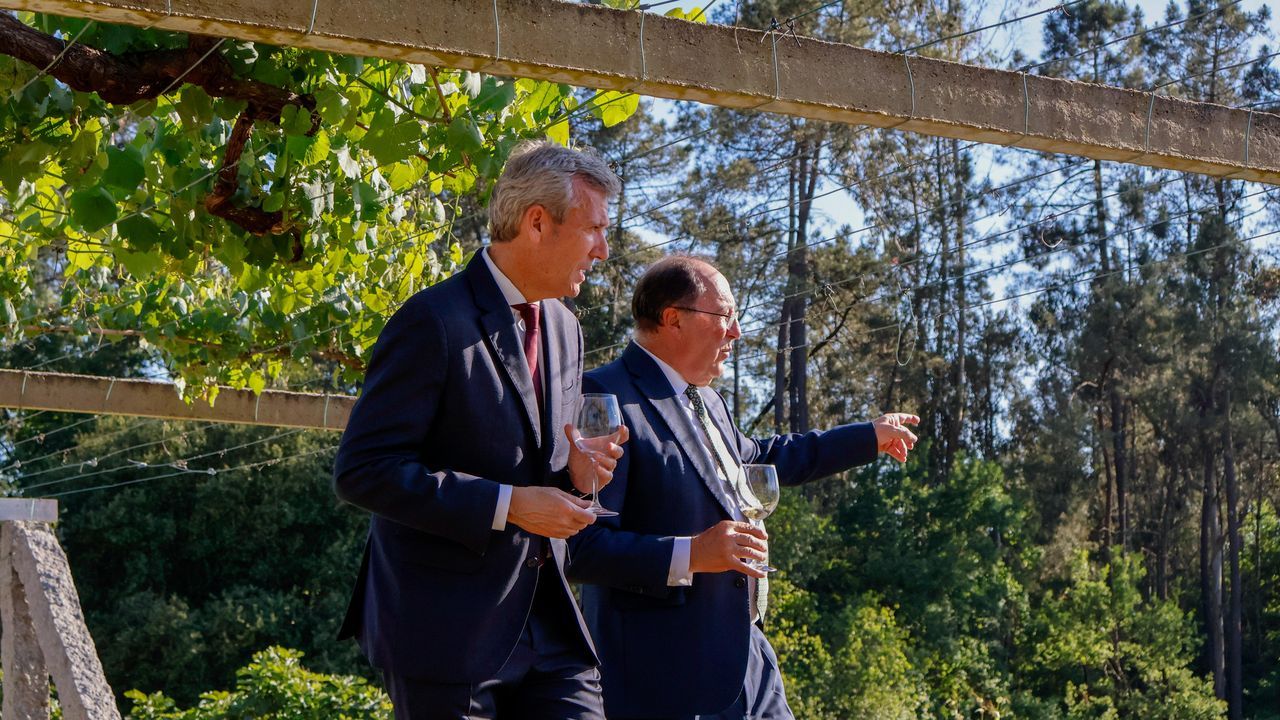 Viña Caeira llega a Rías Baixas «con el objetivo de elaborar los mejores vinos del mundo en la mejor región»