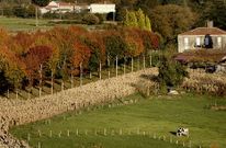 De los 53 expedientes resueltos hasta la fecha, la mayor�a son de la zona rural: 48, frente a 5 en el casco.