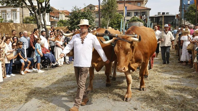 ¡Hay Feira Franca en Pontevedra!