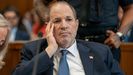 Weinstein, en su comparecencia este mi�rcoles en Nueva York