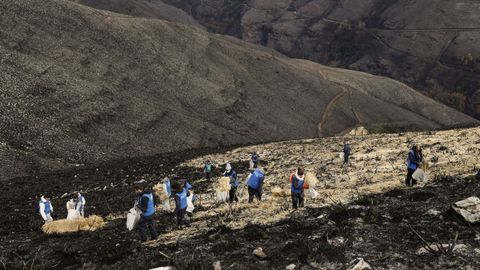 Voluntarios protegen los montes afectados por los incendios forestales en Vilamart�n de Valdeorras