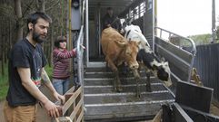 Nunca un muuu son� tan feliz