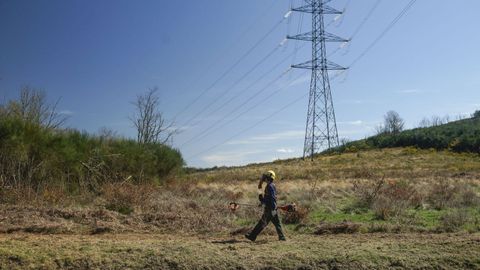 Tareas de desbroce ejecutadas de forma preventiva durante el invierno