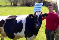 Lamazares ironizando con la soga, la vaca y los culpables de la crisis.