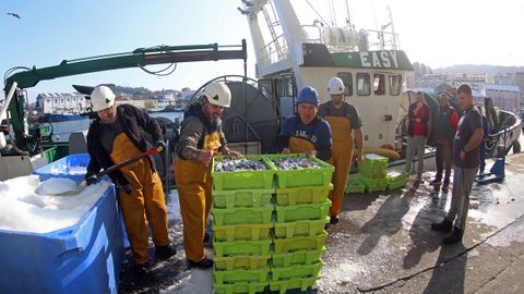 La flota reclama m�s ayudas p�blicas para seguir suministrando pescado como este que descargaba un barco en la lonja de Ribeira a finales de abril del 2026. 
