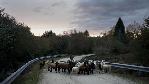 As� es el Cami�o Primitivo a su paso por el municipio de Lugo