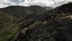 Desolaci�n en los montes del Xur�s tras la ola incendiaria de este mes