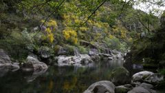 La parroquia de San Xurxo de Sacos, en Cerdedo-Cotobade, es una de las afectadas por el proyecto de parque e�lico Siroco