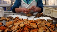 La manifestaci�n tendr� lugar el s�bado, 24 de enero en Vilagarc�a, y se seguir� de dos jornadas de huelga, los d�as 27 y 28 de este mes