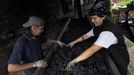 Descarga de uva en la bodega Finca Mllara, en la ribera del Mio en Pantn