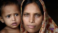 El �lbum del d�a