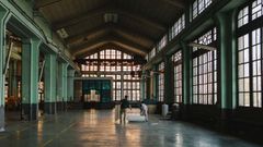 La f�brica de armas de La Vega echa humo (cultural)