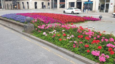 Flores de Santo Domingo