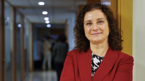 Elena Garc�a Armada, en las jornadas sobre neurolog�a organizadas en A Coru�a por el grupo Neurocom de la UDC