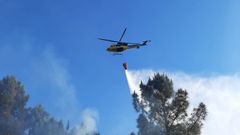 Un helic�ptero particip� en las tareas de extinci�n en Montealegre