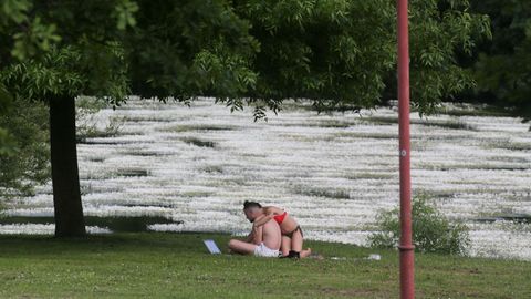Lugar donde se instalarán las piscinas en el Miño