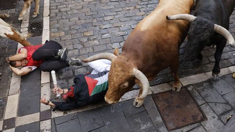 Los toros de la ganader�a gaditana de La Palmosilla entran en la curva de Mercaderes