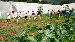 Un grupo de ni�os cultiva una huerta en el Mol�n de Vega