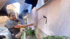 Alarma por una plaga de cucarachas en Teis